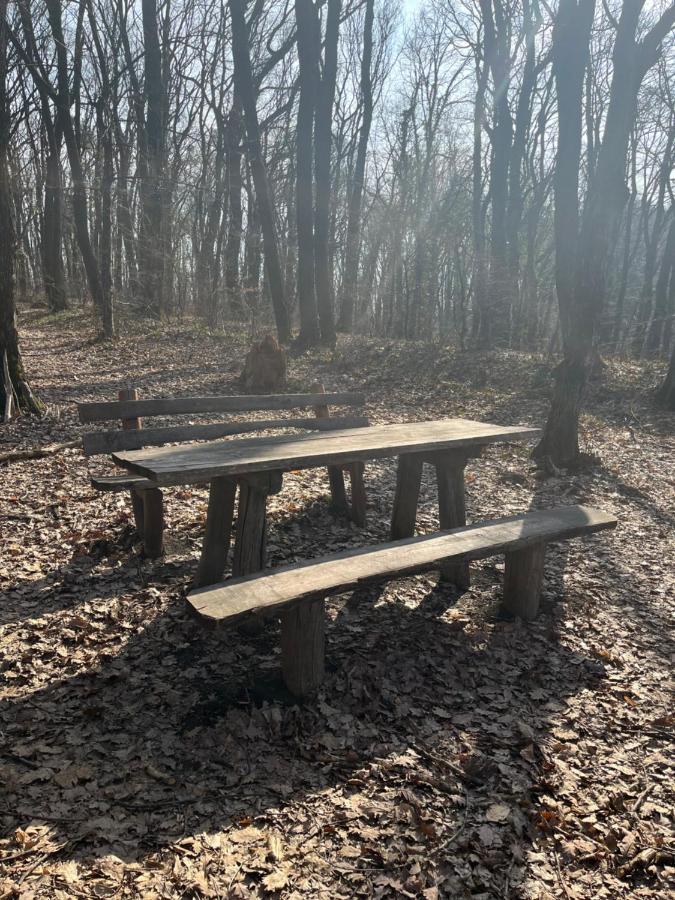Apartmani Marija Vrdnik Esterno foto